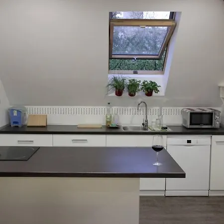 Entire In The Center With Free Parking *