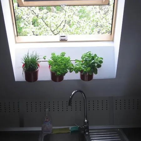 Entire In The Center With Free Parking 卢布尔雅那