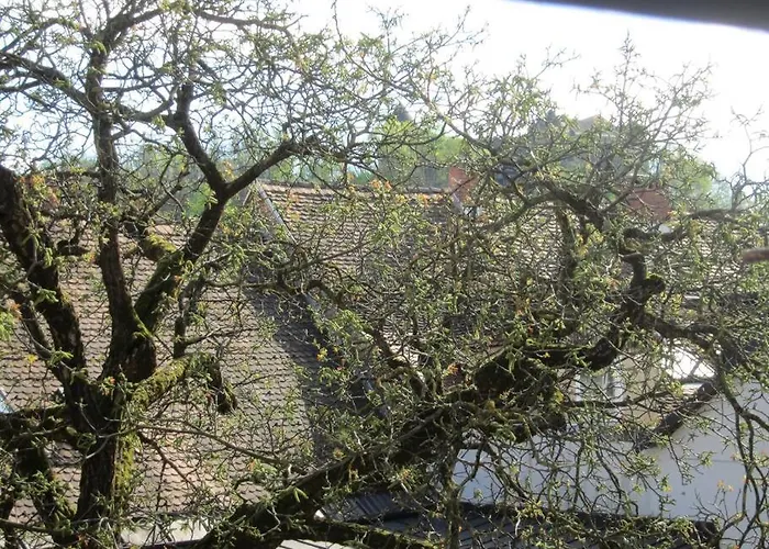 Entire In The Center With Free Parking *