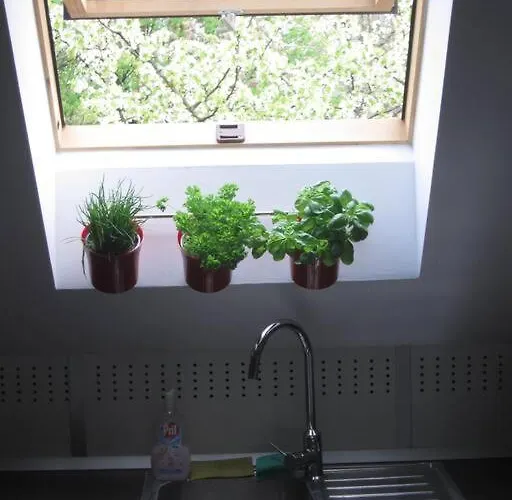 Entire In The Center With Free Parking ليوبليانا