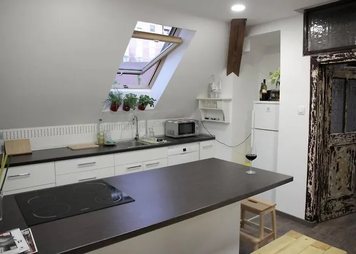 Entire In The Center With Free Parking Ljubljana