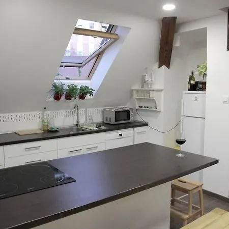 Entire In The Center With Free Parking Любляна