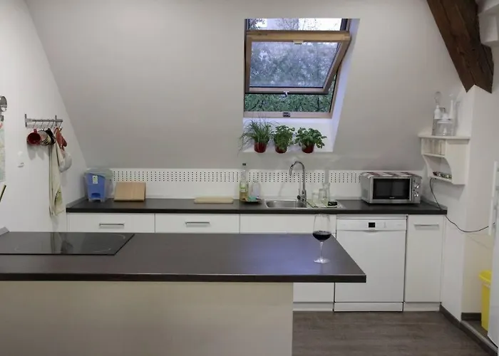 Entire In The Center With Free Parking *